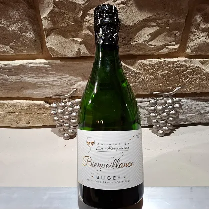 Photo d'un bouteille de vin devant un mur en pierres