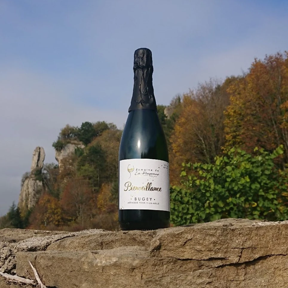Bienveillance Photo d'un bouteille de vin devant une foret