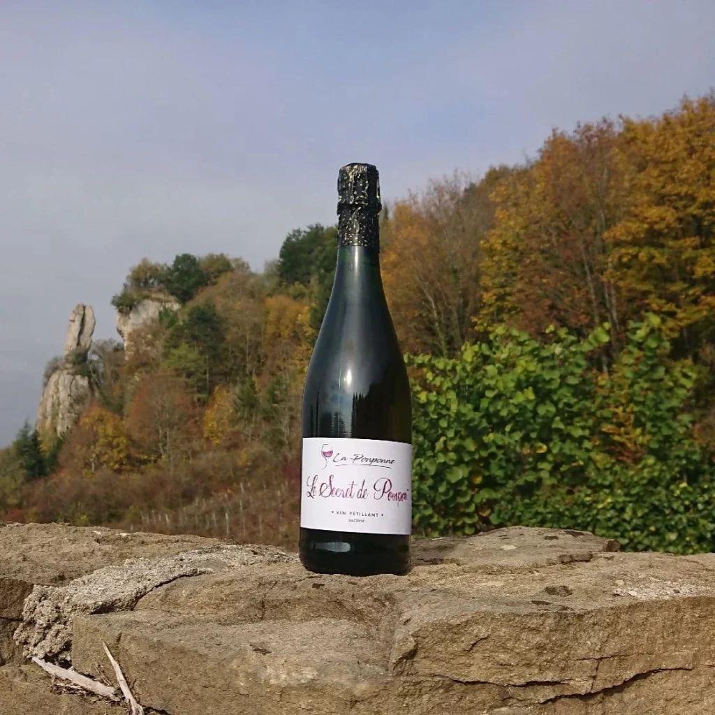 Le Secret de Pompon Photo d'un bouteille de vin devant une foret