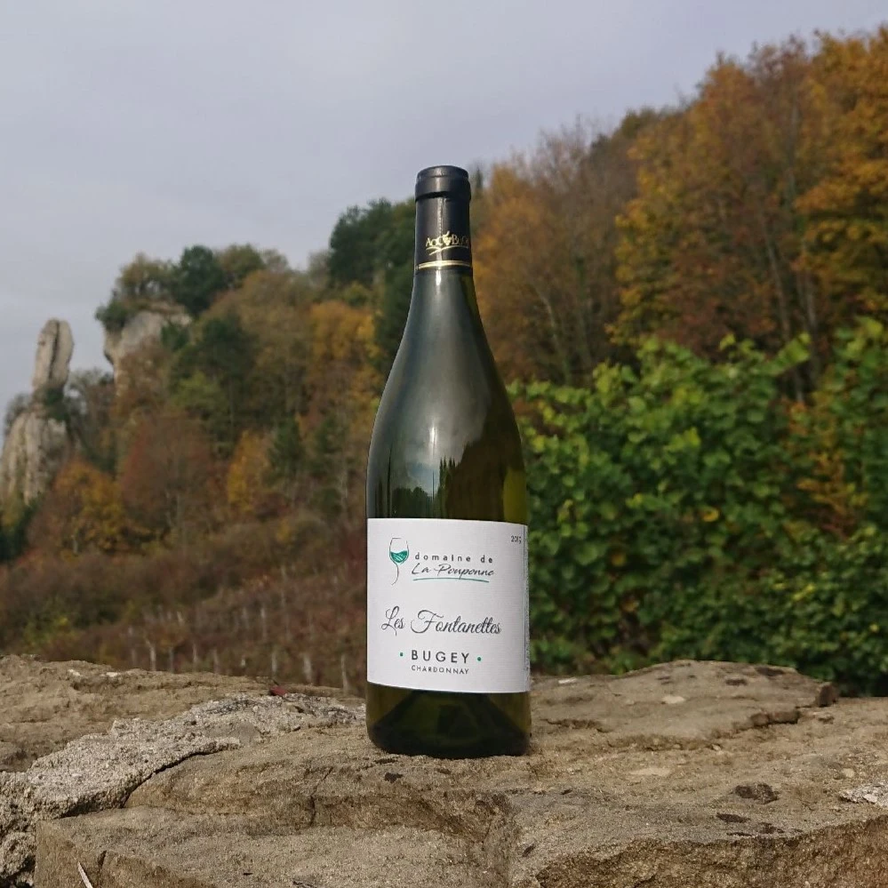 Les Fontanettes Photo d'un bouteille de vin devant une foret